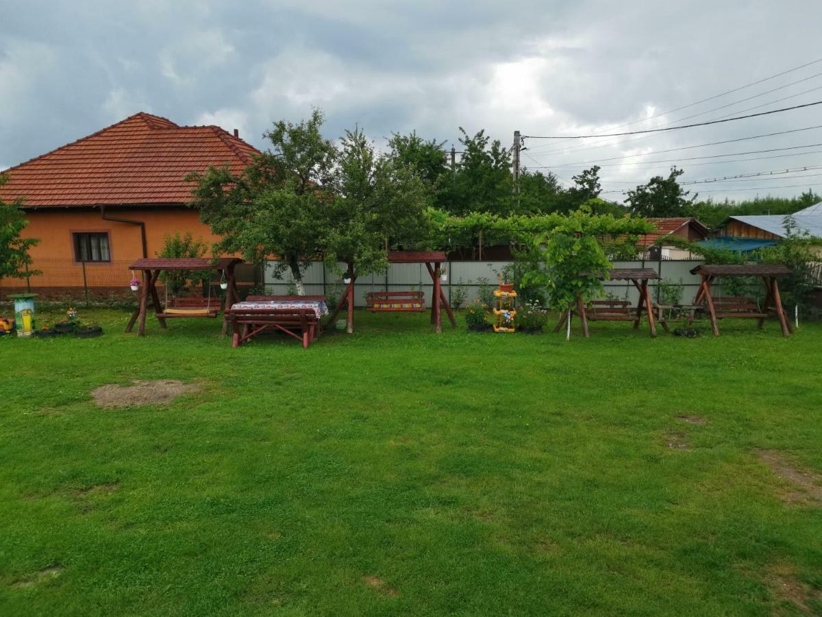 Pensiunea Casa Domnitei Baia de Fier Exterior photo