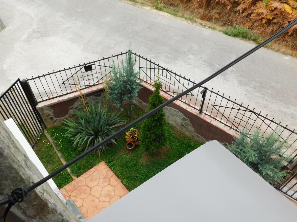 Pensiunea Casa Domnitei Baia de Fier Exterior photo