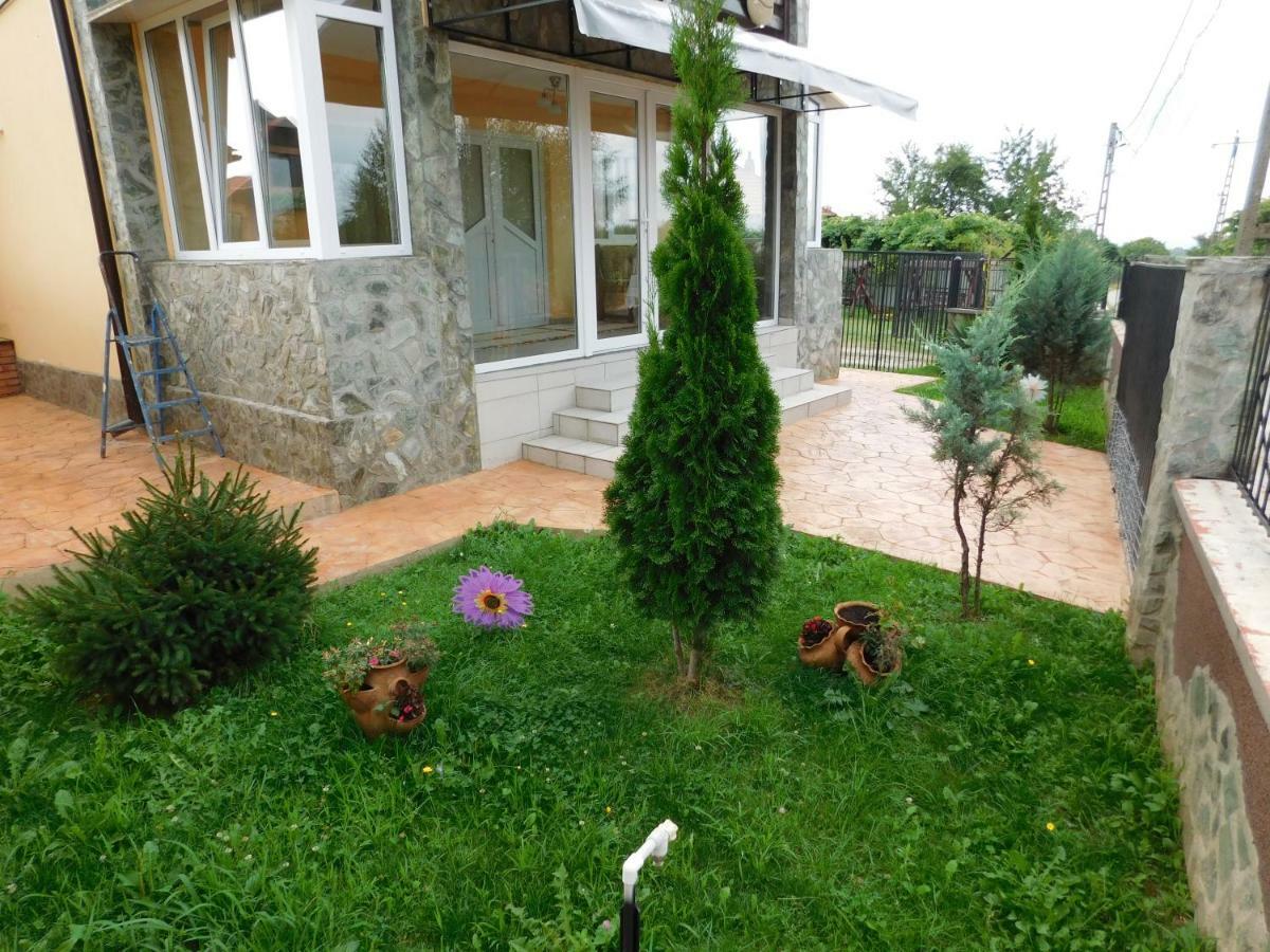 Pensiunea Casa Domnitei Baia de Fier Exterior photo