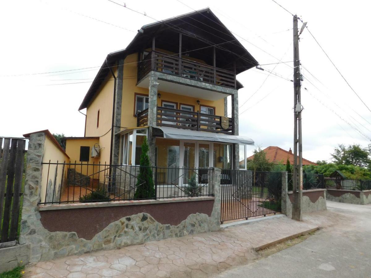 Pensiunea Casa Domnitei Baia de Fier Exterior photo