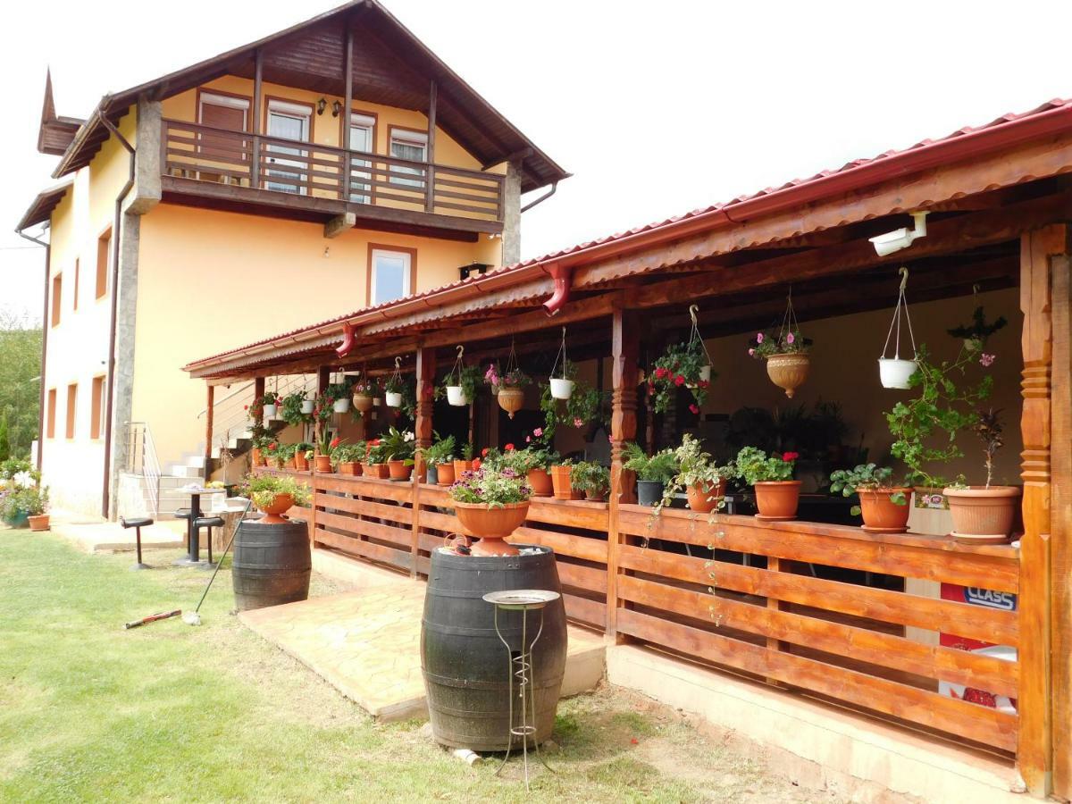 Pensiunea Casa Domnitei Baia de Fier Exterior photo