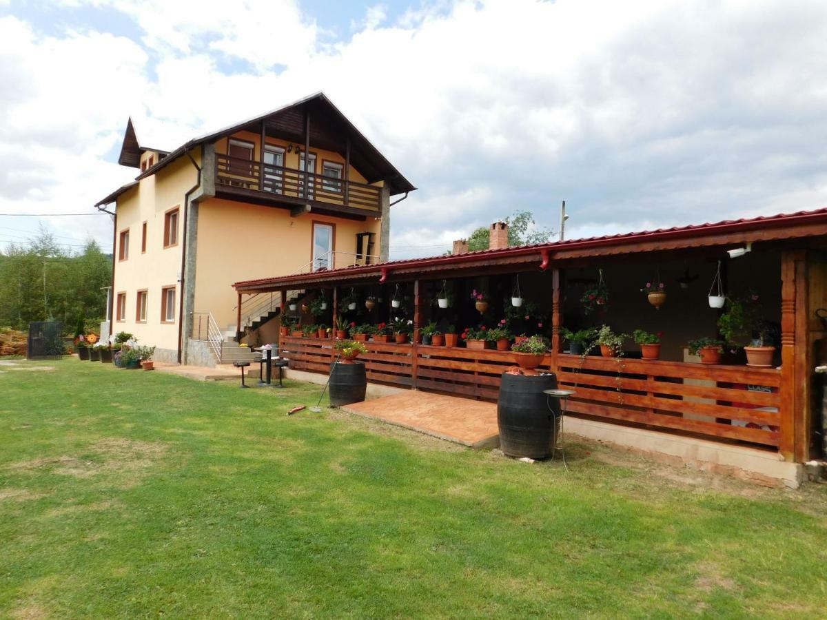 Pensiunea Casa Domnitei Baia de Fier Exterior photo